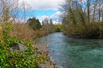 Lower Big Quilcene River