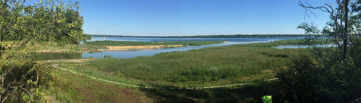 Wetland Delineation and Assessment Wetland Delineation and Assessment
