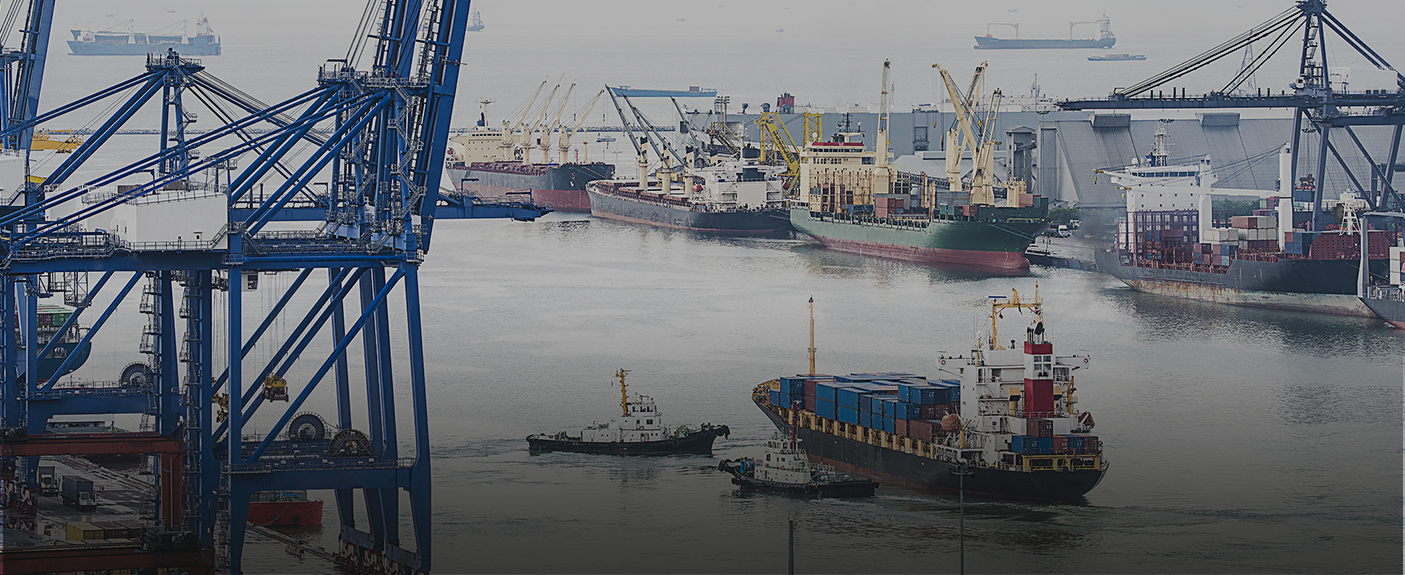 Serving Both Private and Public Sectors Serving Both Private and Public Sectors