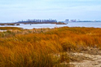 Gulf Coast Beneficial Use Marsh Extension