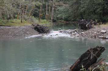 Dam Removal and Fish Passage 