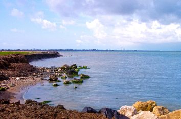 Habitat Development and Storm Recovery