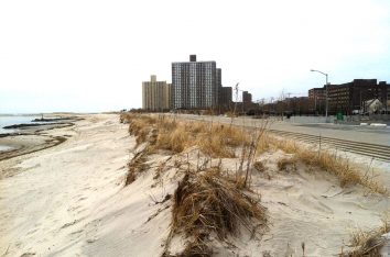 Interim Dune Restoration / Stabilization