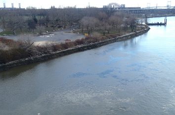 Living Shoreline Restoration