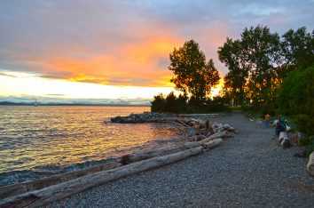 Olympic Sculpture Park Design and Permitting