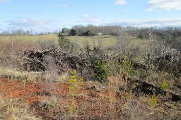 Stream Mitigation Bank Assessment