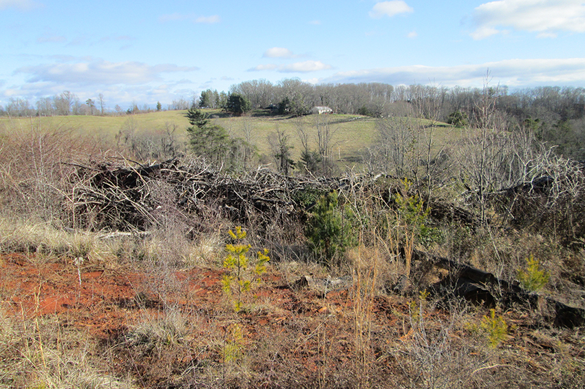 Stream Mitigation Bank Assessment_1