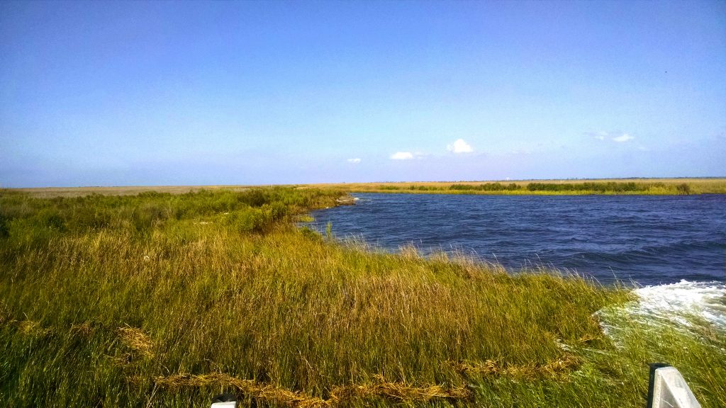 Hancock County Marsh