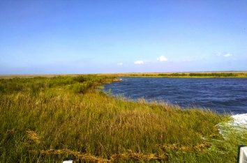 Hancock County Marsh Living Shoreline