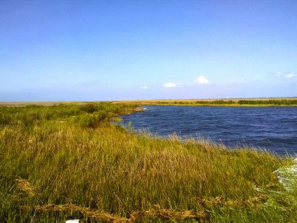 Hancock County Marsh