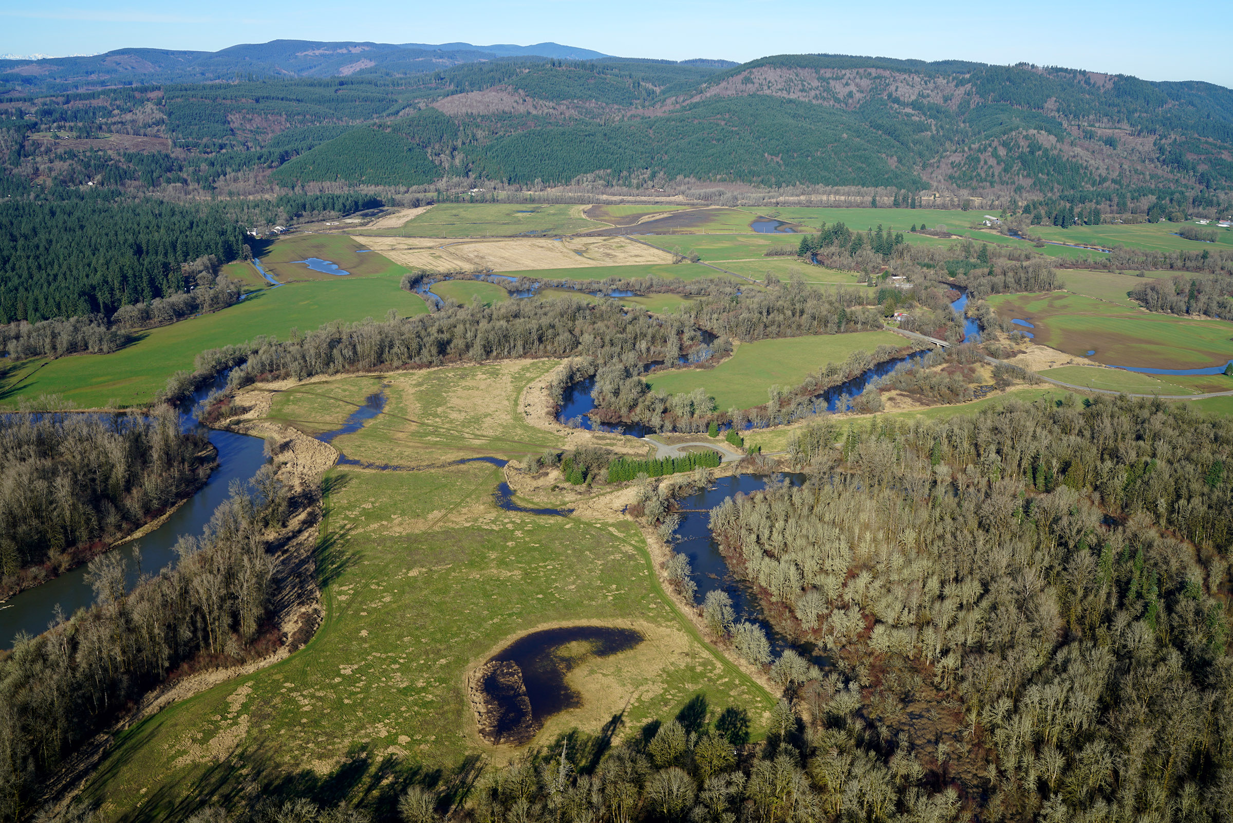 Chehalis Basin OxBow in River