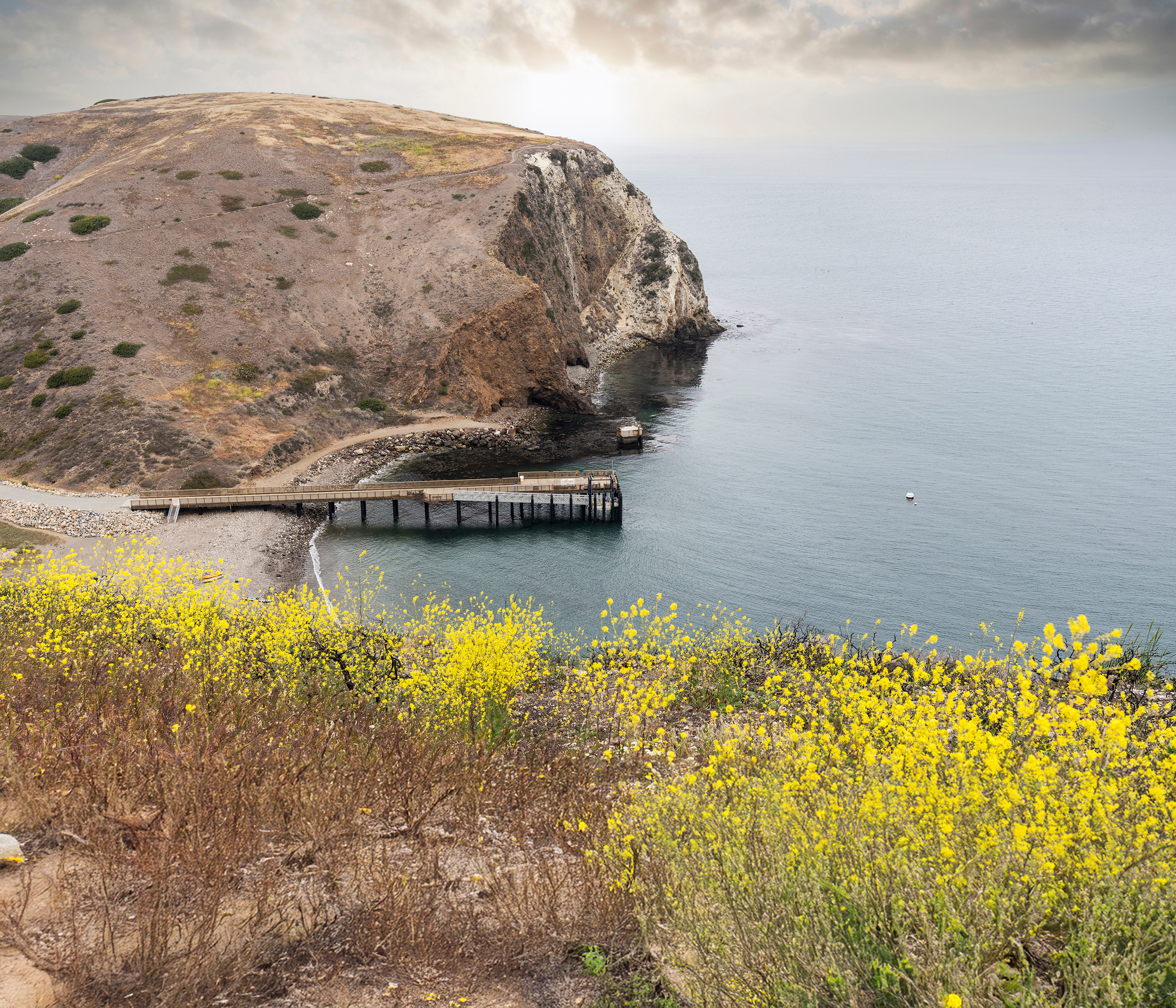 Scorpion Pier