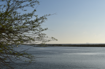 A Nutrient Budget for Nueces Bay, Texas