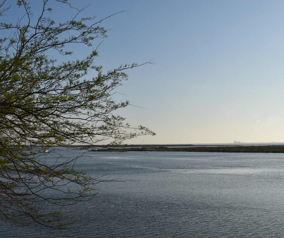 Nueces Bay, Texas