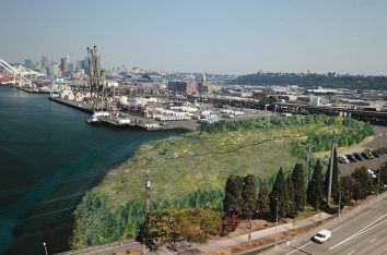 Port of Seattle Wetland Mitigation and Habitat Conservation Umbrella Bank