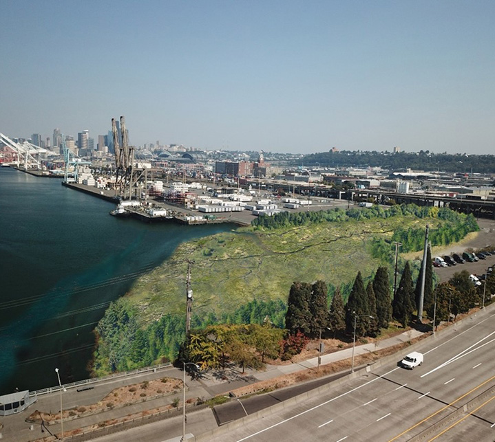 Port of Seattle Wetland