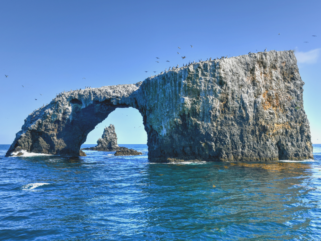 Anacapa Island Wharf: Improving Safety and Resiliency - Anchor QEA