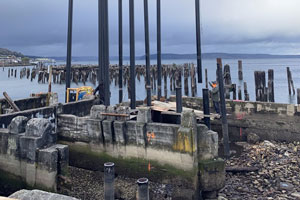 Old pilings at deconstructed piers