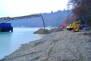 Habitat restoration with shoreline placement