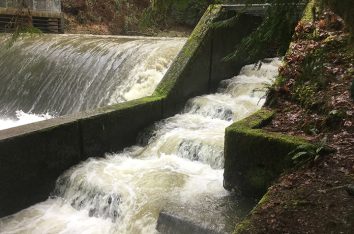 Pilchuck Dam Removal and River Restoration