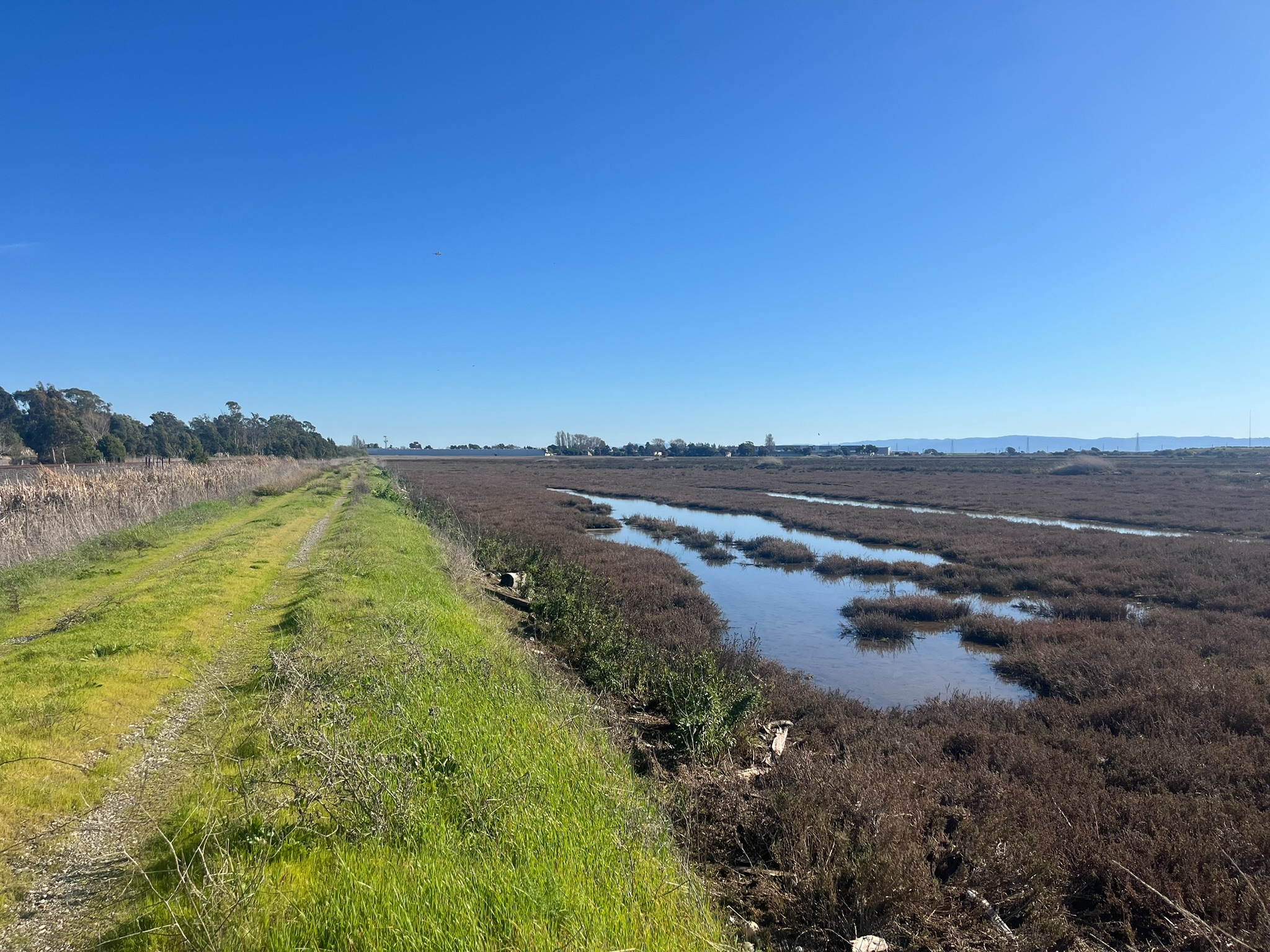 First Mile Horizontal Levee