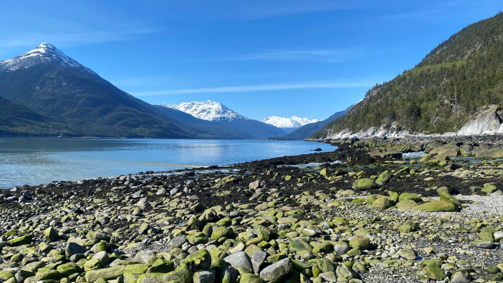 It’s from one of our Kasidaya marine mammal monitoring location in Taiya Inlet, AK just outside [south of] of Skagway, looking north.